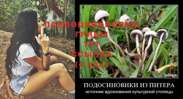 МДПВ Надым