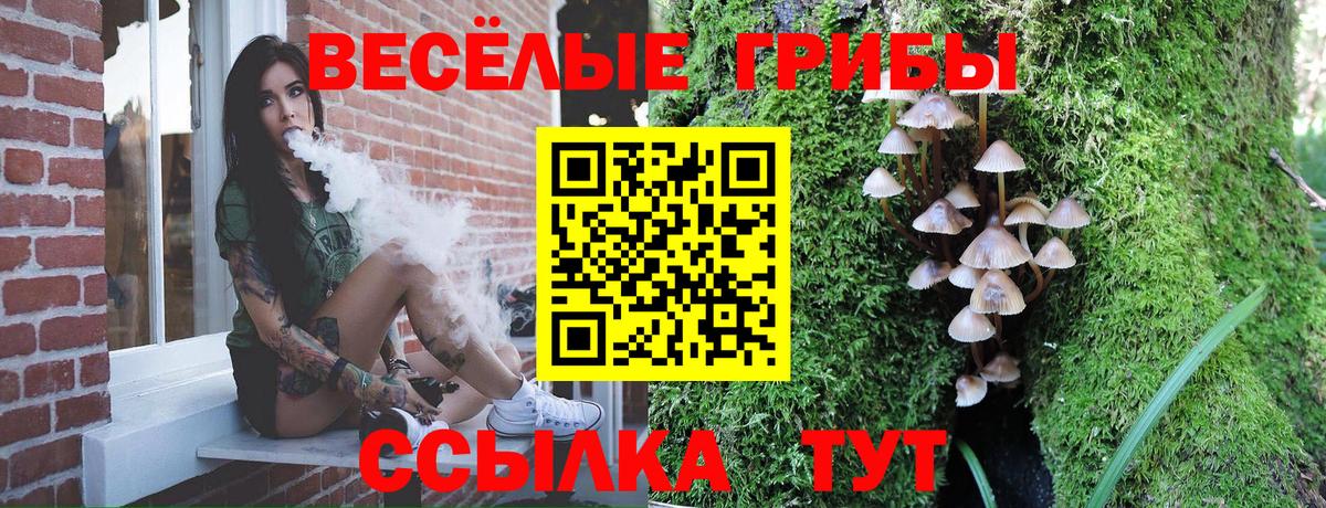 НБОМе Карталы