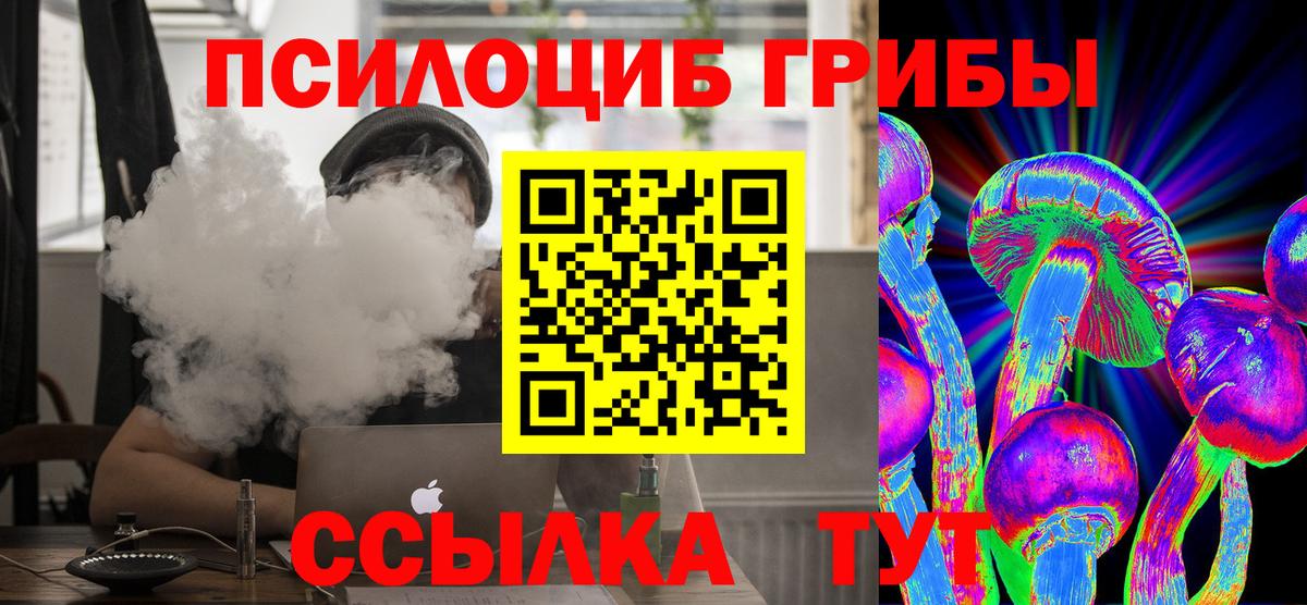 Псилоцибиновые грибы Magic Shrooms Карталы
