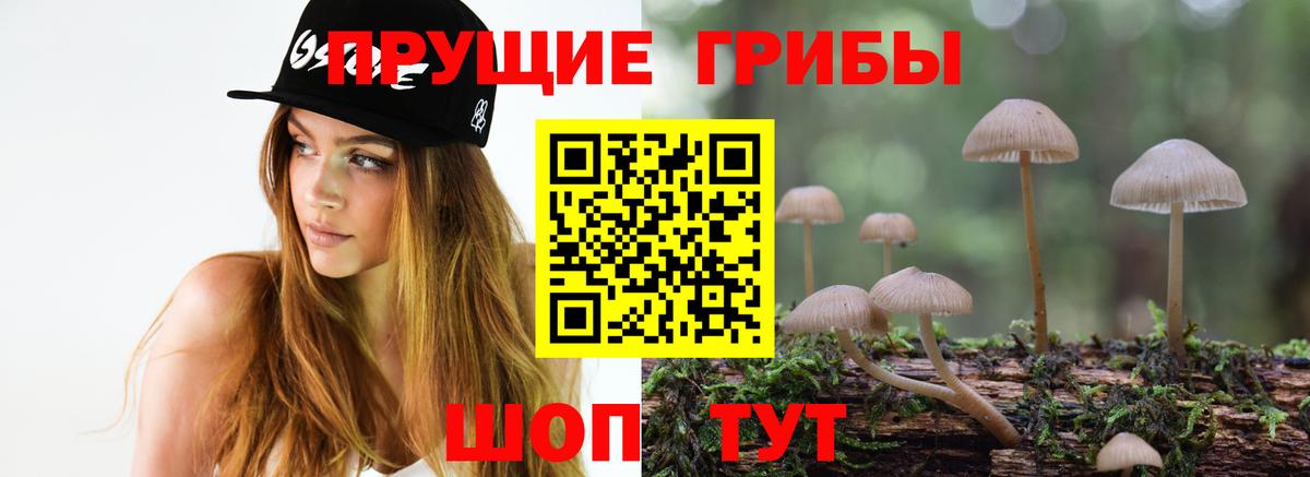Галлюциногенные грибы MAGIC MUSHROOMS  Псилоцибиновые грибы MAGIC MUSHROOMS  Карталы 